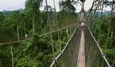Kakum National Park