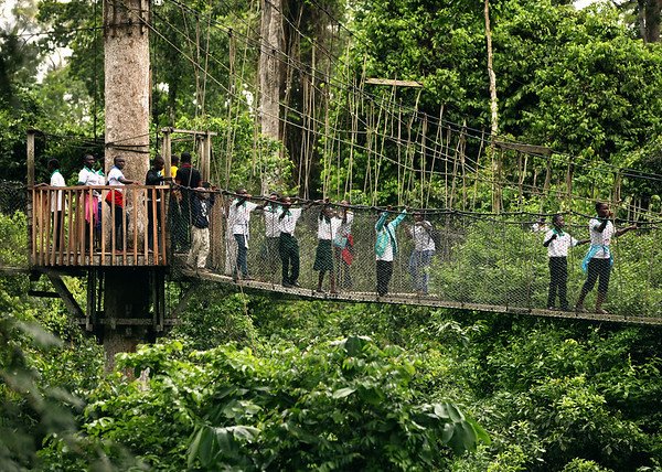 Kakum National Park Activity