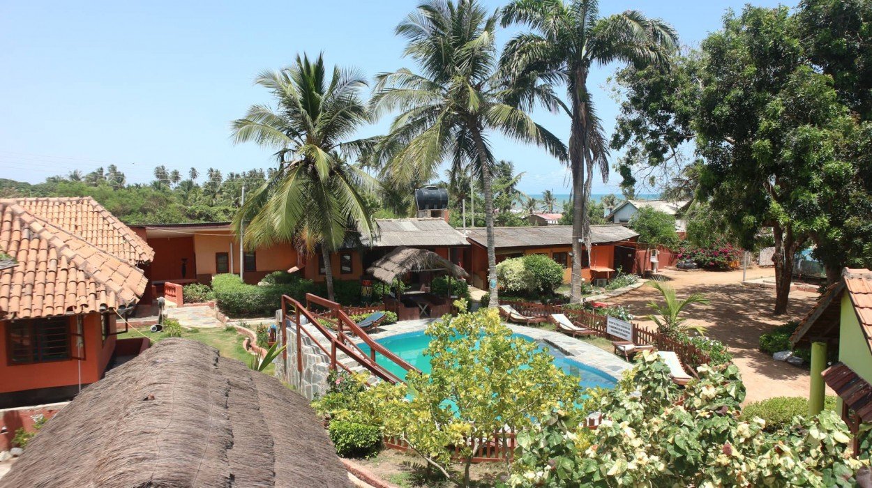 BigMilly's Backyard