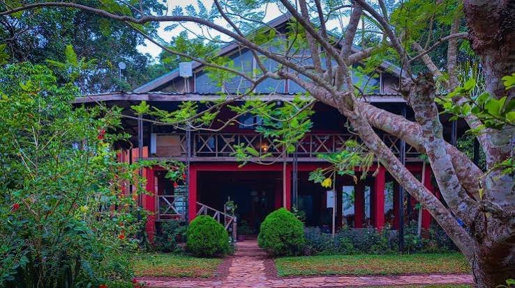 TREE HOUSE B&B