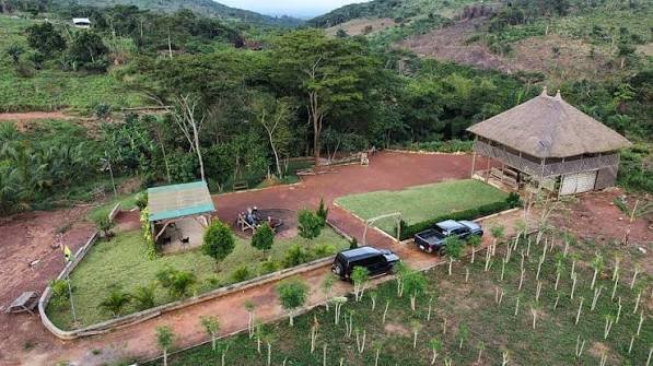 Tetra Jungle Lodge