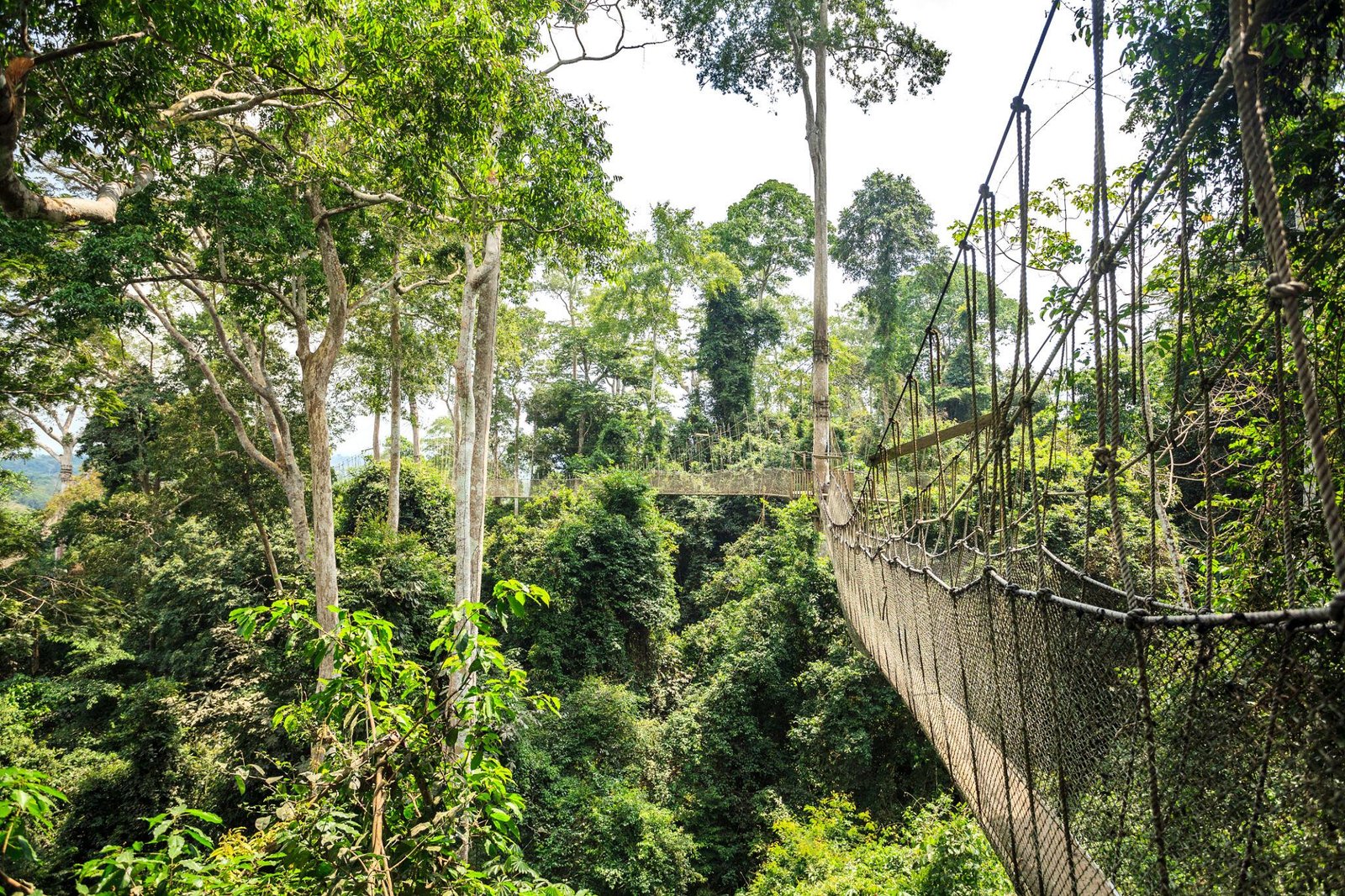 AN ECO-CULTURAL JOURNEY FROM ACCRA TO THE HISTORIC COAST OF CENTRAL GHANA