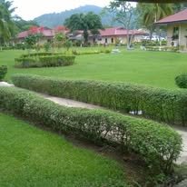 Anyinam Lodges