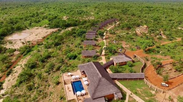 Mole National Park Motel